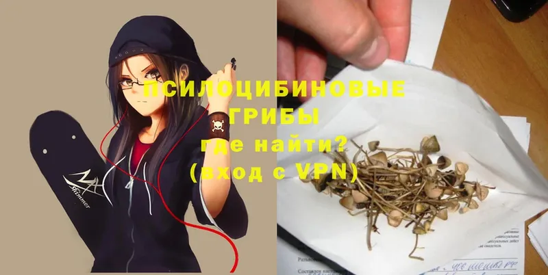 сколько стоит  Ряжск  Галлюциногенные грибы Psilocybe 